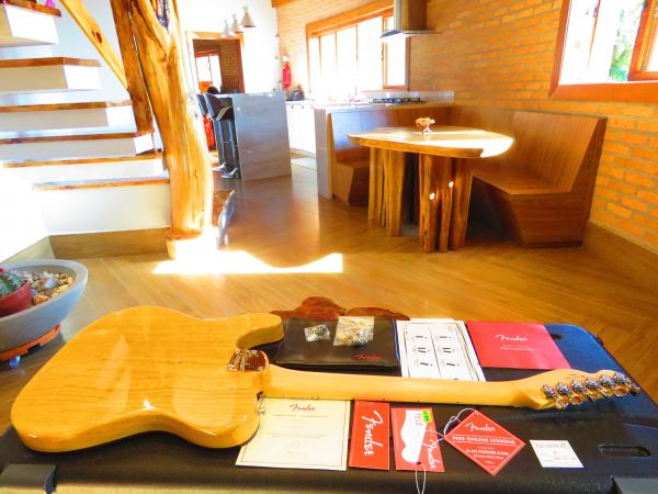 Fender Thinline American Elite Ash 2016