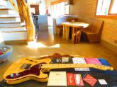 Fender Thinline American Elite Ash 2016