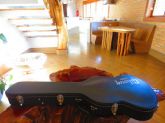 Case Gibson Sg Original