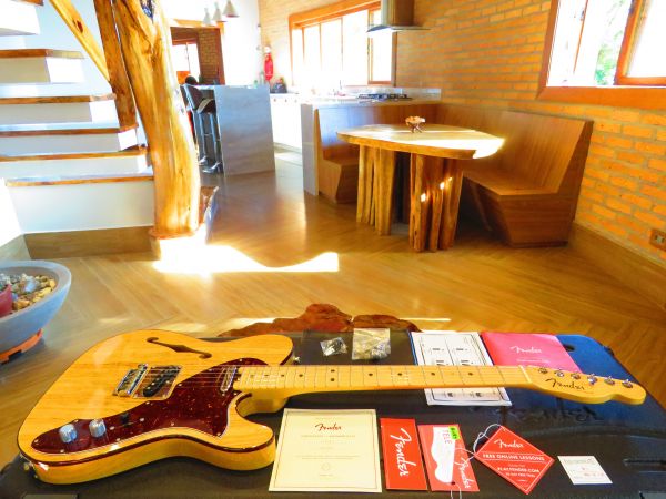 Fender Thinline American Elite Ash 2016