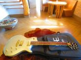 Prs Se Mark Tremonti Korea Tunada