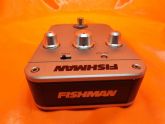 Fishman Aura Acoustic Imaging Dreadnought