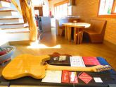 Fender Thinline American Elite Ash 2016